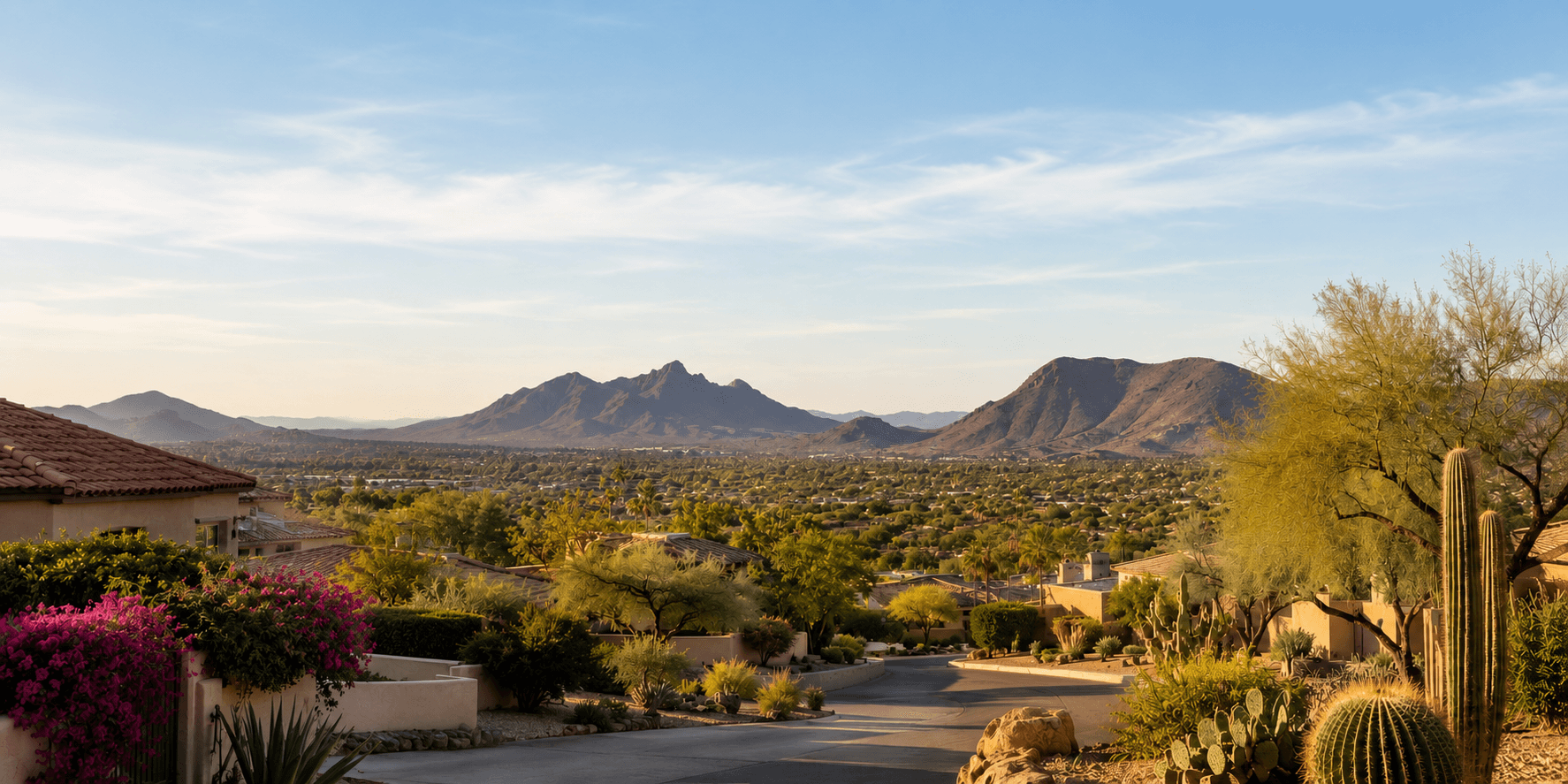 A Scottsdale neighborhood surrounded by desert landscaping and mountain views.